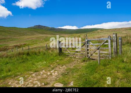 Wild Boar Fell ist ein Berg im Yorkshire Dales National Park, am östlichen Rand von Cumbria, England. Mit 2.323 Fuß ist es entweder die 4.-höchsten Stockfoto