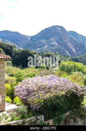 Berglandschaftsansicht vom Dorf, Ocana, Korsika (Corse), Corse-du-Sud, Frankreich Stockfoto