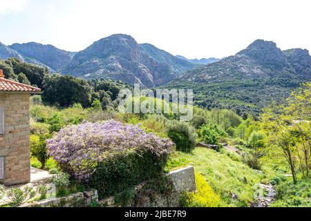 Berglandschaftsansicht vom Dorf, Ocana, Korsika (Corse), Corse-du-Sud, Frankreich Stockfoto