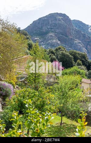 Berglandschaftsansicht vom Dorf, Ocana, Korsika (Corse), Corse-du-Sud, Frankreich Stockfoto