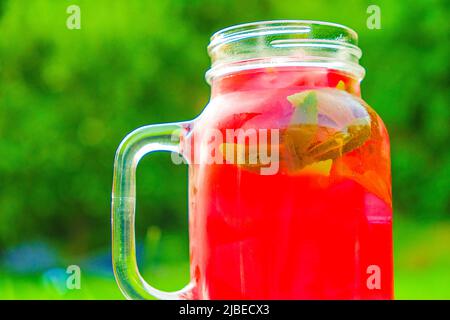 Wassermelone Diät Smoothie.Summer Drink. Wassermelone Dessert. Wassermelone trinken mit Stevia.Red Kühlung mit Eis Cocktail in Glas bemisted Tasse Stockfoto