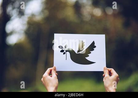 Zeige geschnittenes Papier mit dem Logo der Taubenvorlage des Friedenskonzeptes,Internationaler Friedenstag Stockfoto