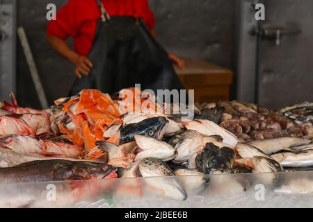 Fisch steht auf Eis zum Verkauf auf dem Fischmarkt an der Wharf in Washington D.C. Stockfoto