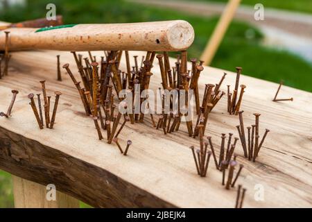 Ein unordentlicher Haufen rostiger Nägel und Hämmer auf einem Holzbrett Stockfoto