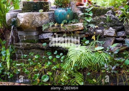 Landschaft mit Steinbecken und Pflanzen in einem chinesischen Garten Stockfoto