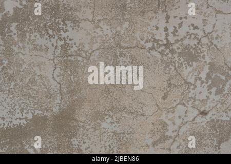 Alte Wandstruktur mit zwei Schichten abblätternder Farbe. Oberfläche einer alten rissigen, abgenutzten Wand mit Schichten beige-weißer abblätternder Farbe. Stockfoto