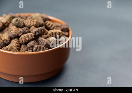 Hundefutter in einer braunen Tonschale vor grauem Hintergrund trocknen. Die Pellets sind oval. Futter für Hunde, die zu Übergewicht neigen. Nützliches Tierfutter-Konzept. Schließen-U Stockfoto