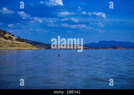 Der Magadi-See ist der südlichste See im Kenia Rift Valley und liegt in einem Einzugsgebiet von vulkanischen Felsen nördlich von Tansania Stockfoto