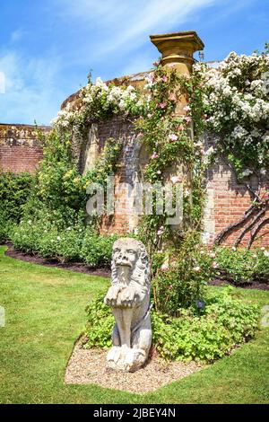 Hever, Vereinigtes Königreich - 18. Juni 2015: Architektonische Dekorationen mit Kletterrosen im Rosengarten von Hever Castle. Stockfoto