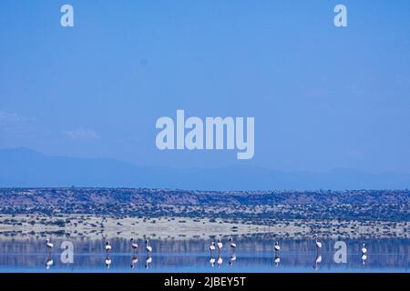 Der Magadi-See ist der südlichste See im Kenia Rift Valley und liegt in einem Einzugsgebiet von vulkanischen Felsen nördlich von Tansania Stockfoto