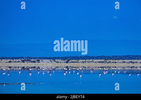 Der Magadi-See ist der südlichste See im Kenia Rift Valley und liegt in einem Einzugsgebiet von vulkanischen Felsen nördlich von Tansania Stockfoto