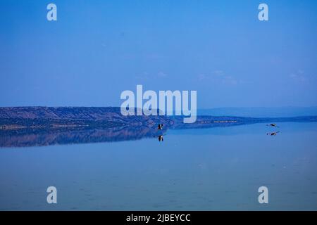 Der Magadi-See ist der südlichste See im Kenia Rift Valley und liegt in einem Einzugsgebiet von vulkanischen Felsen nördlich von Tansania Stockfoto