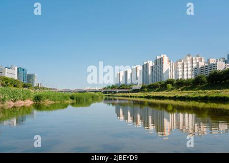 Anyangcheon Stream Park und Wohngebäude in Seoul, Korea Stockfoto