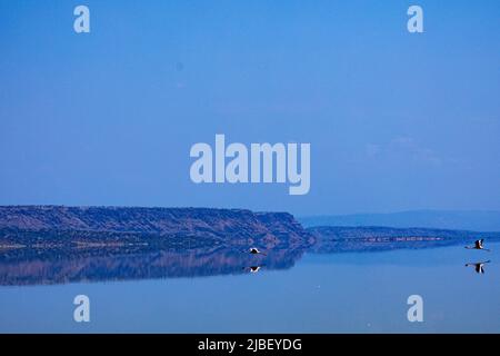 Der Magadi-See ist der südlichste See im Kenia Rift Valley und liegt in einem Einzugsgebiet von vulkanischen Felsen nördlich von Tansania Stockfoto