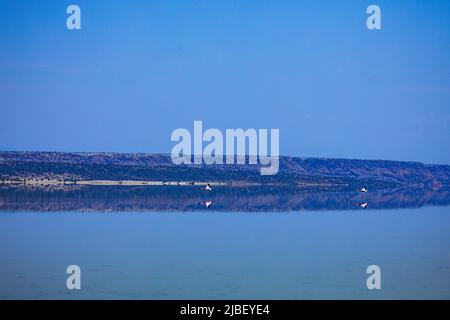 Der Magadi-See ist der südlichste See im Kenia Rift Valley und liegt in einem Einzugsgebiet von vulkanischen Felsen nördlich von Tansania Stockfoto