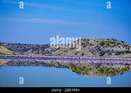 Der Magadi-See ist der südlichste See im Kenia Rift Valley und liegt in einem Einzugsgebiet von vulkanischen Felsen nördlich von Tansania Stockfoto