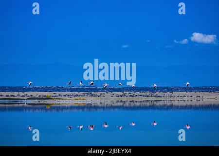 Der Magadi-See ist der südlichste See im Kenia Rift Valley und liegt in einem Einzugsgebiet von vulkanischen Felsen nördlich von Tansania Stockfoto