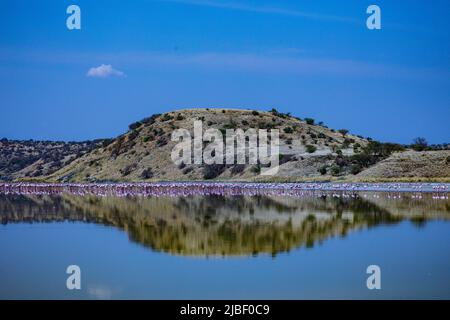 Der Magadi-See ist der südlichste See im Kenia Rift Valley und liegt in einem Einzugsgebiet von vulkanischen Felsen nördlich von Tansania Stockfoto