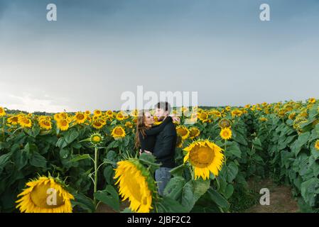 Ein glückliches verliebten Paar läuft im Sommer unter Sonnenblumen Stockfoto