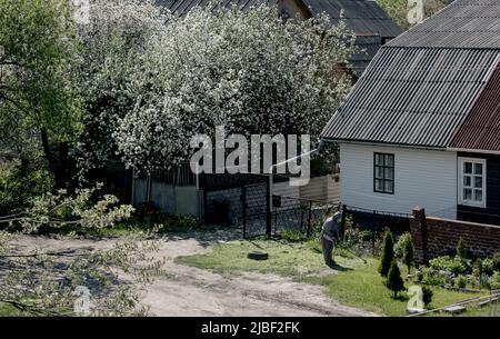 Arbeiter mähen hohes Gras mit Elektro-oder Benzin . Bewegen des Grases. Stockfoto