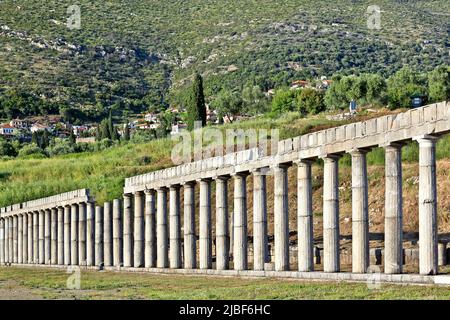 Dorische Säulen im antiken Stadion von Messene (oder Messini), einer antiken griechischen Stadt, die 369 v. Chr. umgebaut wurde. Die bedeutenden Ruinen sind eine große Attraktion. Stockfoto