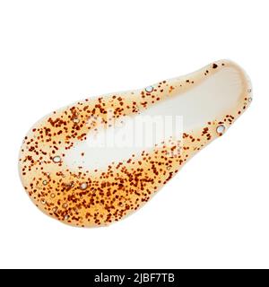 Kosmetische Peeling-Abstrich mit natürlichen Bodenpartikeln isoliert auf weißem Hintergrund Draufsicht Stockfoto