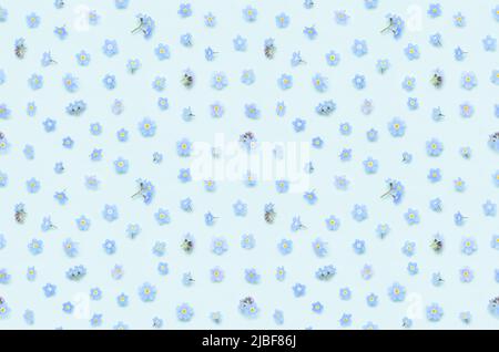 Nahtlose Blumenmuster von winzigen Frühling Vergiss-mich-nicht-Blumen auf blauem Hintergrund Draufsicht flach legen Stockfoto