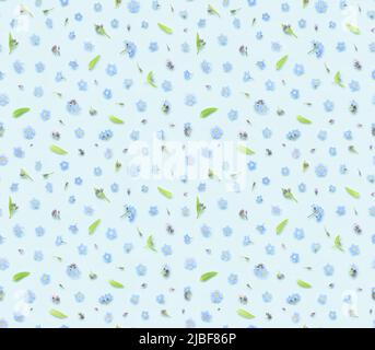 Nahtlose Blumenmuster der Frühling vergessen-mich-nicht Blüten Knospen und Blätter auf blauem Hintergrund Draufsicht flach legen Stockfoto