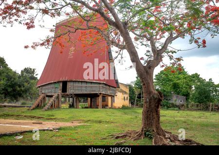 Kon TUM Province, Vietnam - 11. Mai 2022: Rong House in Bahnar Villages in Highland Vietnam. Rong Haus wird als Ort, um Festivals zu organisieren, Vill verwendet Stockfoto