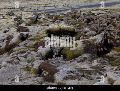 Eldhraun Lavafeld bedeckt mit Moos Island Stockfoto