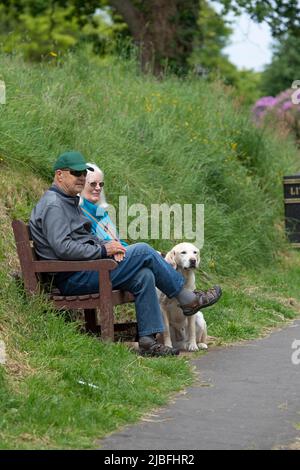 Ein älteres Paar und ihr Hund saßen im Park Stockfoto