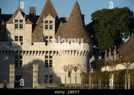 FRANKREICH, DORDOGNE (24) PERIGORD POURPRE. MONBAZILLAC. DAS SCHLOSS UND DER WEINBERG VON MONBAZILLAC, AOC BERGERAC Stockfoto