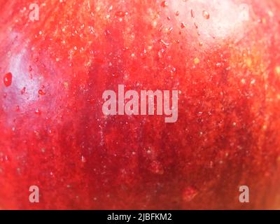 Wassertropfen auf der Schale eines reifen roten Apfels, eine Nahaufnahme. Stockfoto