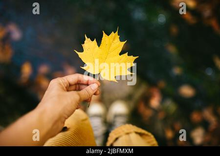 Von oben nicht erkennbare Person Hand mit Ahorngelb Blatt Stockfoto