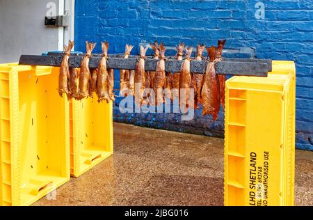 ARBROATH ANGUS SCOTLAND G & A SPINK FISCHT REIHEN VON GOLDEN HADDOCK SMOKIES FRISCH AUS DEM RAUCHERZIMMER Stockfoto