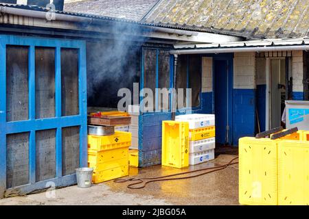 ARBROATH ANGUS SCOTLAND G & A SPINK SMOKIES FISCHT DICHTEN BLAUEN RAUCH AUS DEM RAUCHERZIMMER Stockfoto