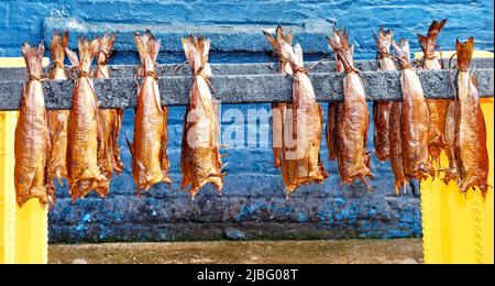 ARBROATH ANGUS SCOTLAND G & A SPINK SMOKIES FISCHT REIHEN VON SCHELLFISCH-SMOKIES FRISCH AUS DEM RAUCHERZIMMER Stockfoto