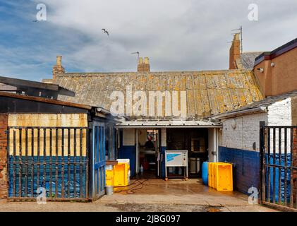 ARBROATH ANGUS SCOTLAND G & A SPINK SMOKIES FISCHEREIEN RAUCHEN AUS DEM RAUCHERRAUM Stockfoto