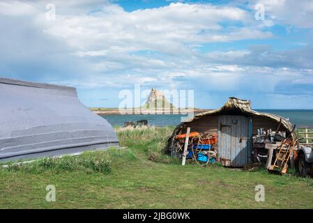 Holy Island UK, Ansicht von umgebauten Fischerbooten im Hafengebiet von Holy Island mit Lindisfarne Castle in der Ferne, Northumberland, UK Stockfoto