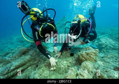 Meeresbiologen untersuchen das Käfigexperiment zur Makroalgenrestaurierung in der Gokova Bay, Türkei. Stockfoto