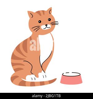Niedliche gestreifte Ingwer-Katze. Schale mit Katzenfutter. Haustier zu Hause. Flache Vektorgrafik isoliert auf weißem Hintergrund Stock Vektor