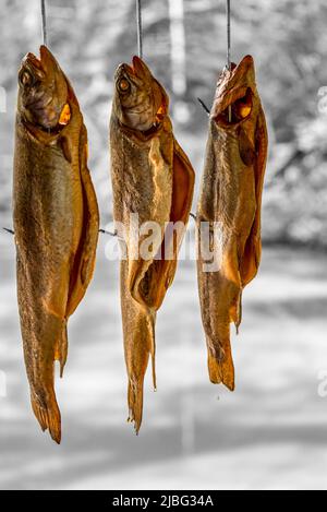 Einige geräucherte Forellen hängen nebeneinander Stockfoto