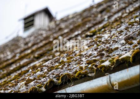 Gefährliche Asbestdächer sind in den Armutsparteien der Karpaten in Polen und der Ukraine immer noch verbreitet. Asbestic Fliese auf dem Scheunendach, Bi Stockfoto