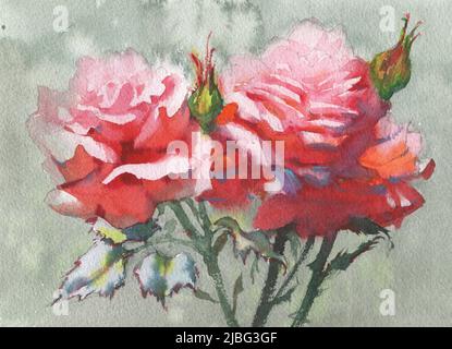 Rose Blumen Aquarell Illustration. Zartes Bouquet. Stockfoto