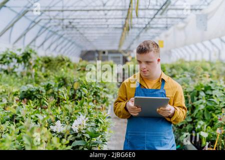 Junge Angestellte mit Down-Syndrom, die im Gartencenter arbeitet und auf einer Tablette tippt. Stockfoto