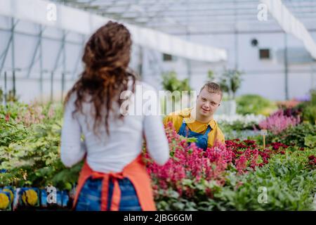 Erfahrene Frau Floristin hilft jungen Angestellten mit Down-Syndrom im Gartencenter. Stockfoto