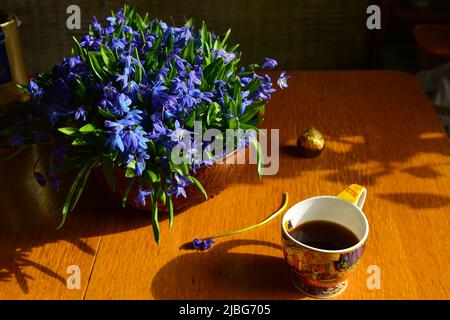 Blumenstrauß von Schneeglöckchen in einer Keramikvase auf einem Holztisch im Morgenlicht der Sonne Stockfoto