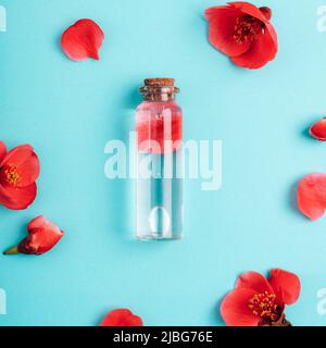 Eine Flasche Parfüm oder kosmetisches Gel und rote Blumen auf blauem Hintergrund. Draufsicht, flach liegend. Stockfoto