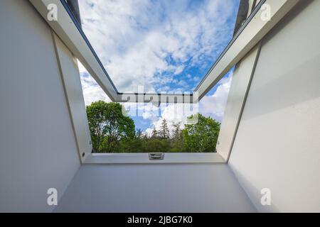 Blick vom Dachfenster im Haus auf die Gipfel der Waldbäume vor dem Hintergrund des blauen Himmels mit weißen Wolken. Schweden. Stockfoto