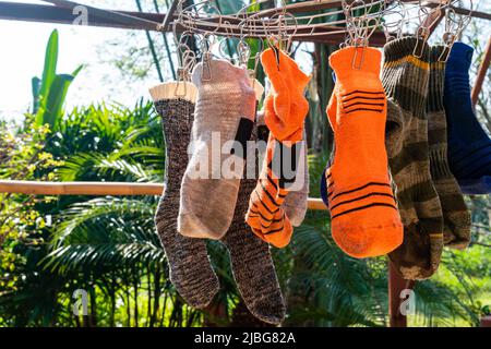 Waschen der gebrauchten Socken und Trocknen an der Wäscheleine. Nach dem Waschen hängen die gebrauchten Socken zum Trocknen an Wäscheklammern an der Wäscheleine. Stockfoto
